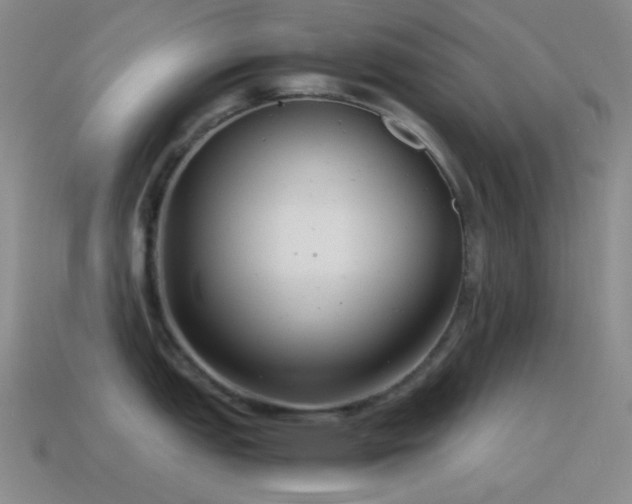 X0000115481151200911061212