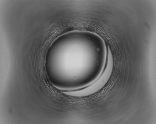 X0000115481153200911061212