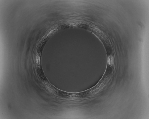 X0000115481155200911061212