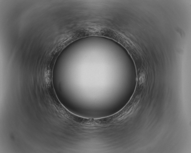 X0000115481156200911061212
