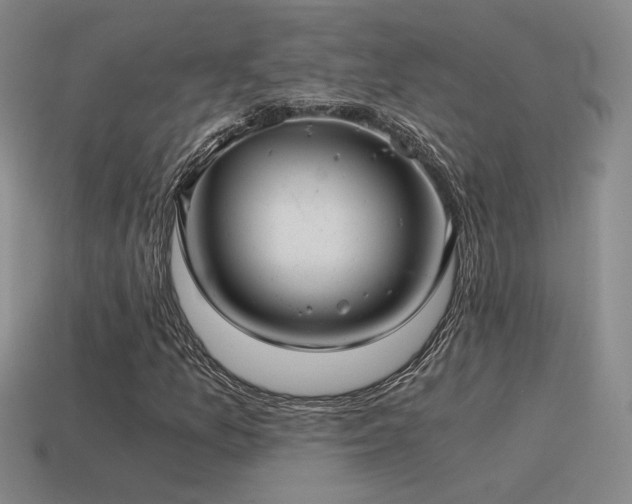 X0000115481157200911061212