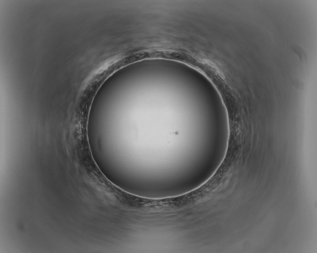 X0000115481159200911061212