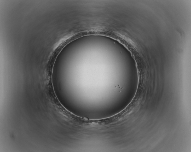 X0000115481160200911061212