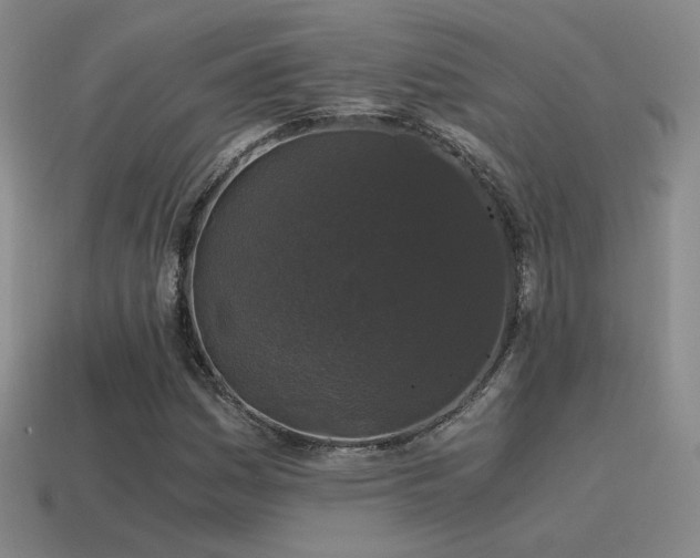 X0000115481161200911061212