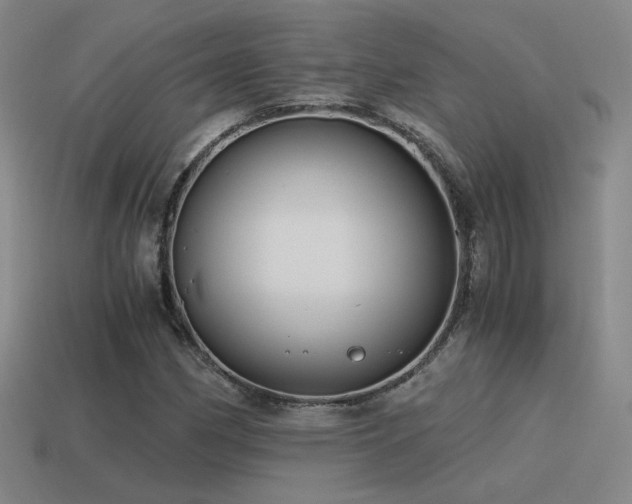 X0000115481162200911061211
