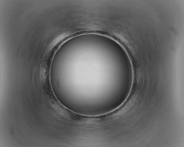 X0000115481163200911061211