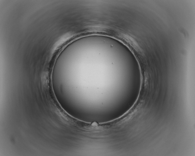 X0000115481164200911061211