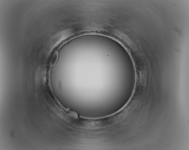 X0000115481165200911061211