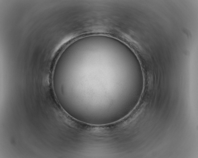 X0000115481166200911061211