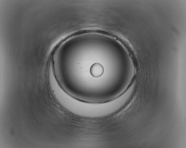 X0000115481167200911061211