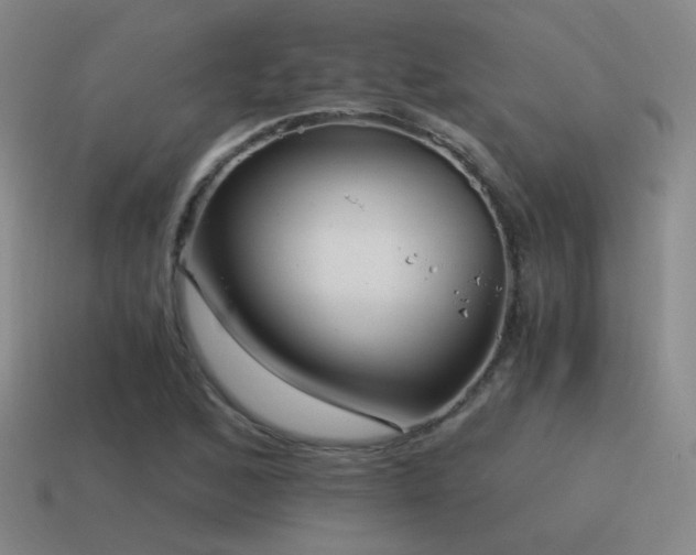 X0000115481168200911061211