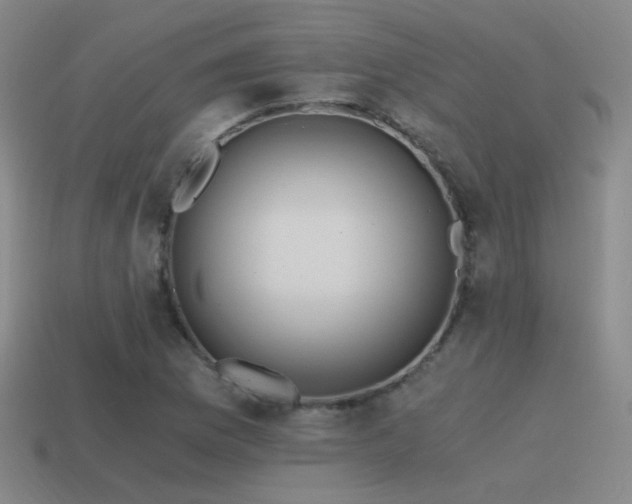 X0000115481169200911061211