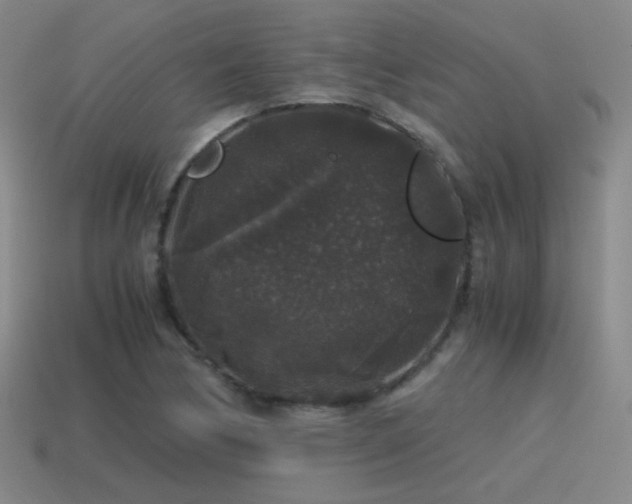X0000115481170200911061211