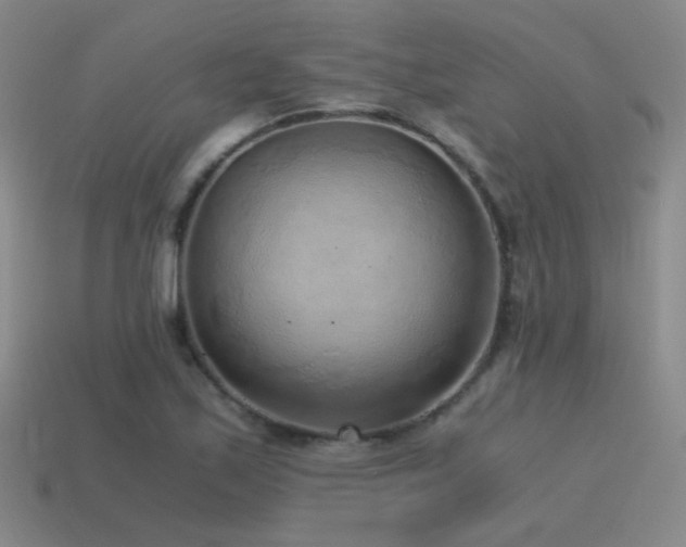 X0000115481171200911061211