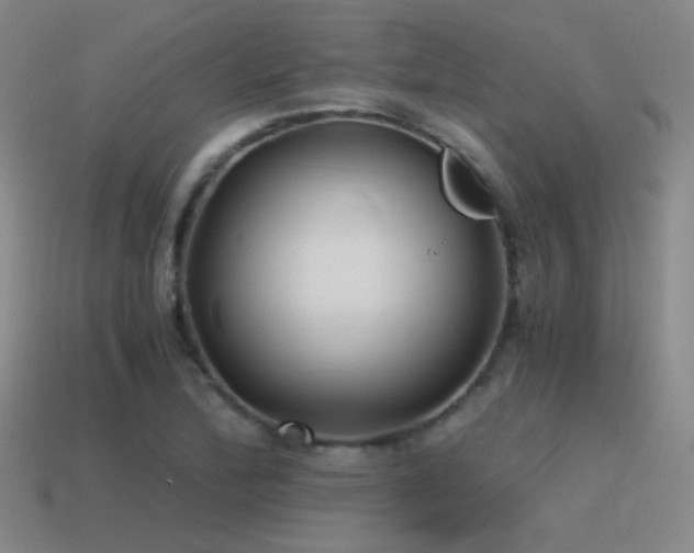 X0000115481172200911061211