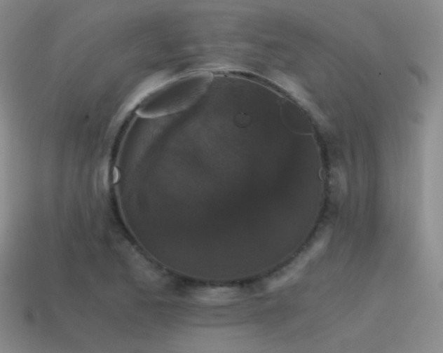 X0000115481173200911061211