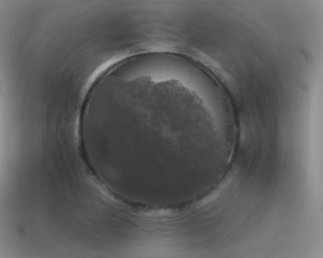 X0000115481174200911061211