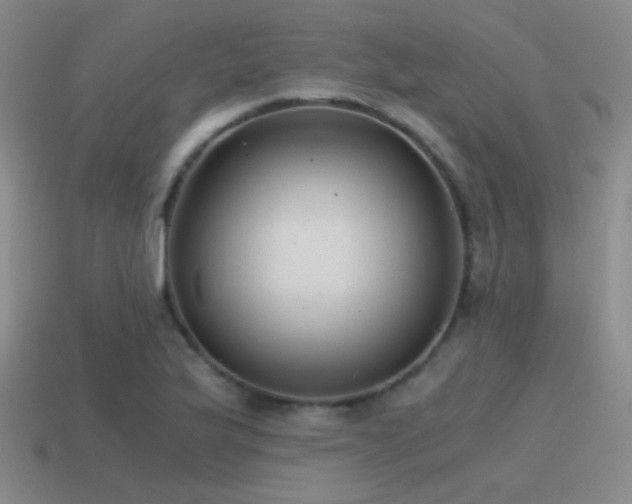 X0000115481175200911061211