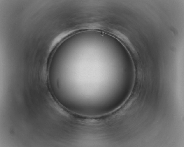 X0000115481176200911061211
