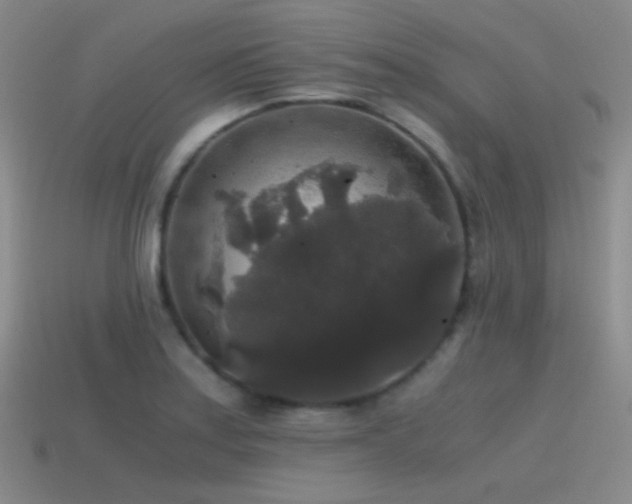 X0000115481179200911061211