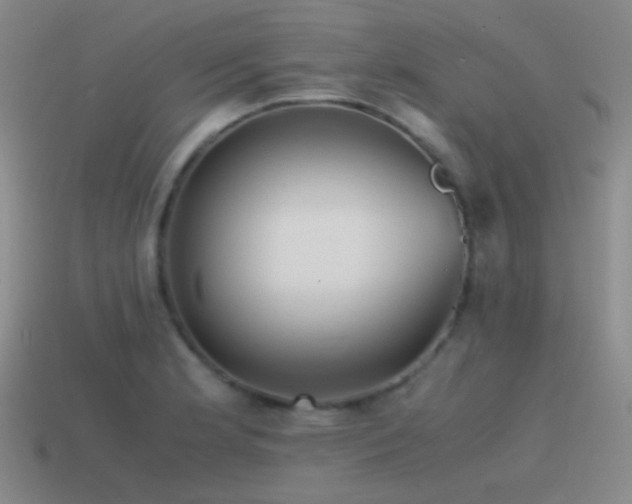 X0000115481181200911061211