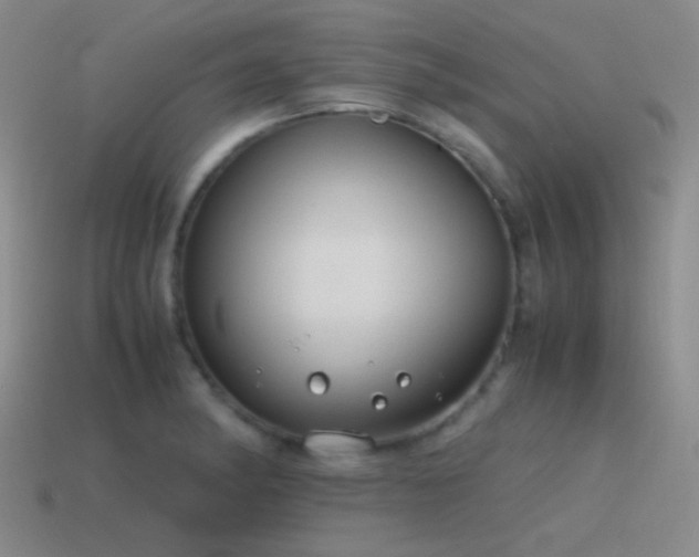 X0000115481182200911061211