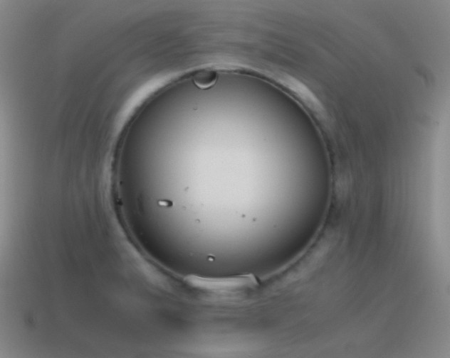 X0000115481183200911061211