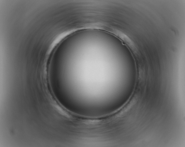 X0000115481184200911061211
