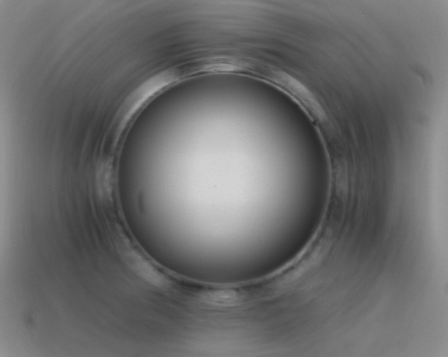 X0000115481186200911061211