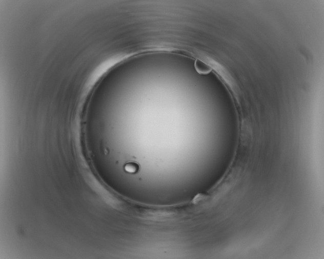X0000115481187200911061211