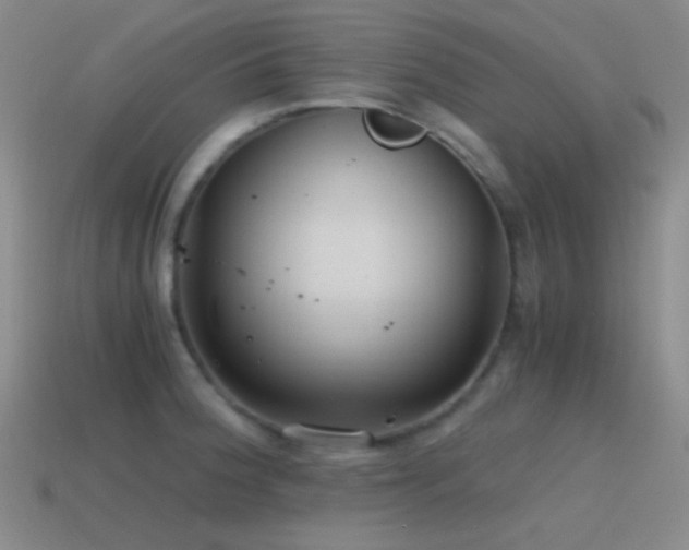 X0000115481188200911061211