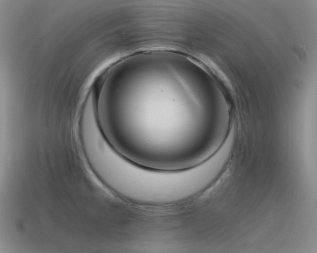X0000115481189200911061211