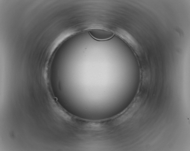 X0000115481190200911061211