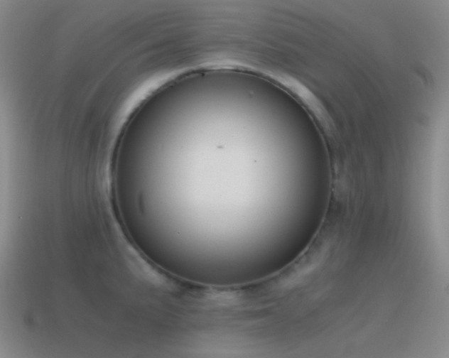 X0000115481191200911061211