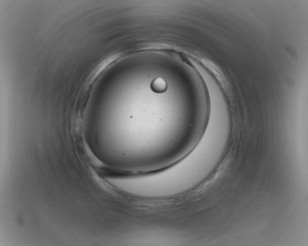X0000115481193200911061211