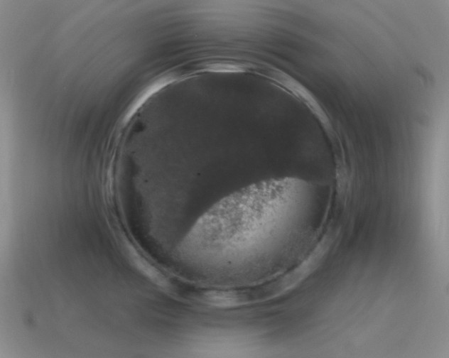 X0000115481194200911061211