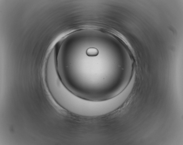 X0000115481195200911061211