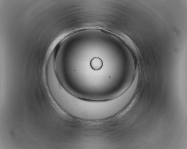 X0000115481196200911061211