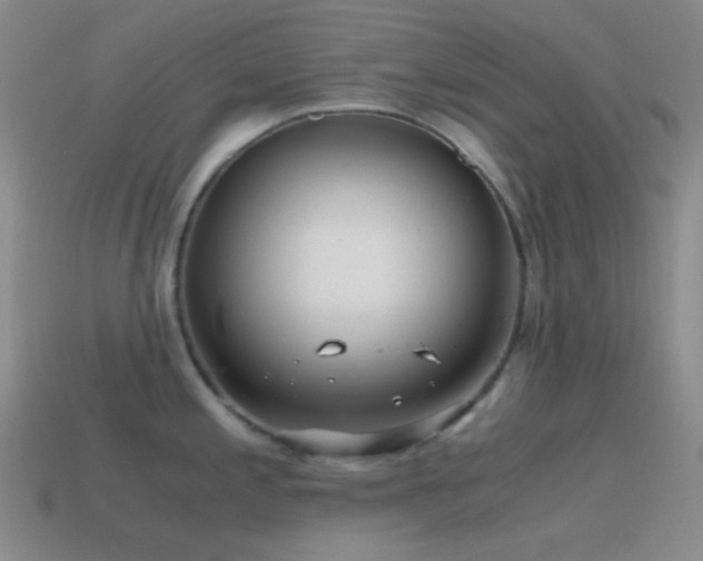 X0000115481197200911061211