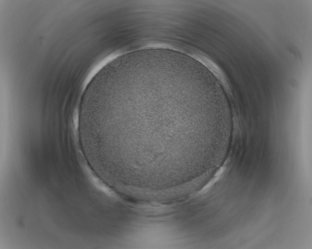 X0000115481198200911061211