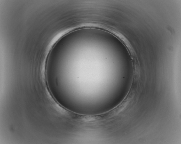X0000115481199200911061211