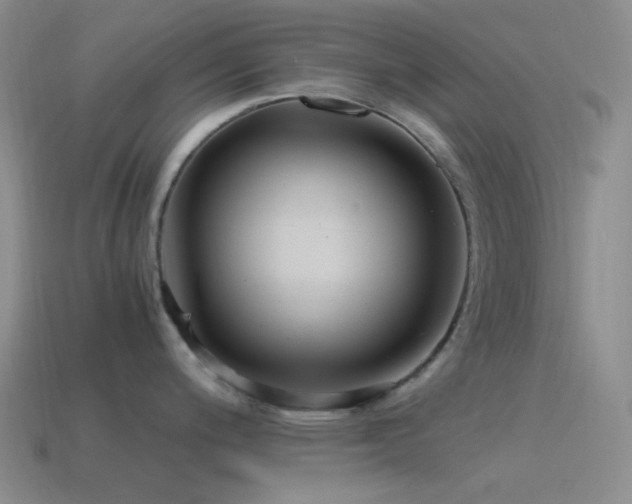 X0000115481200200911061211