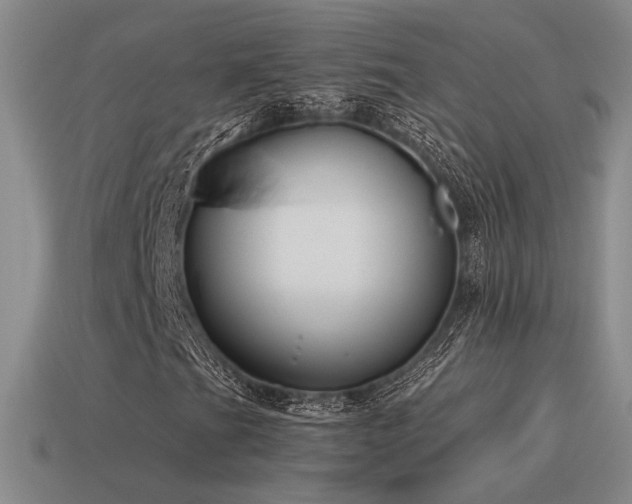X0000115481201200911061210