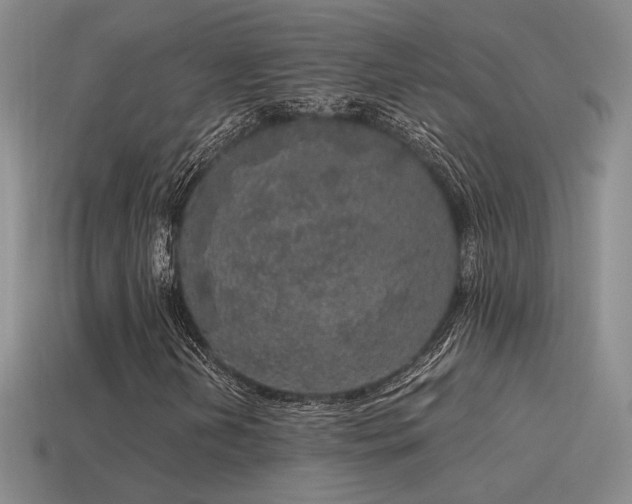X0000115481202200911061210