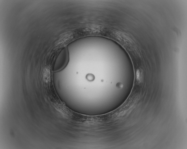 X0000115481203200911061210