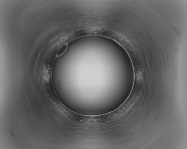 X0000115481204200911061210