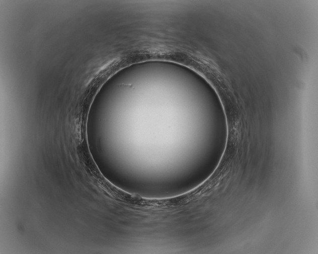 X0000115481205200911061210