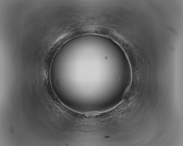 X0000115481206200911061210