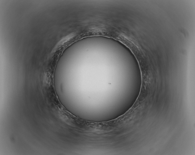 X0000115481207200911061210