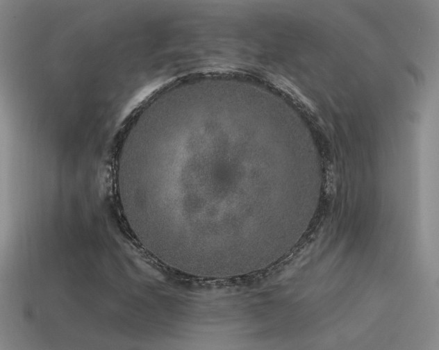 X0000115481208200911061210